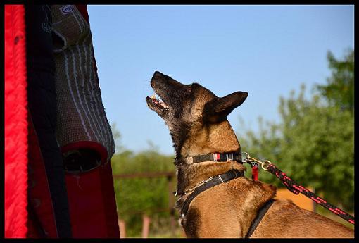 kopie---dsc_0459.jpg